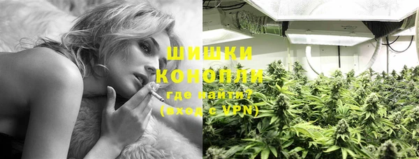 дживик Мурманск
