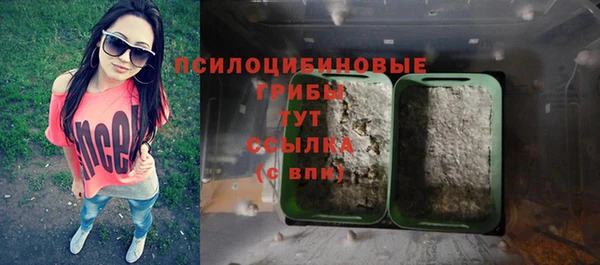 а пвп мука Кострома