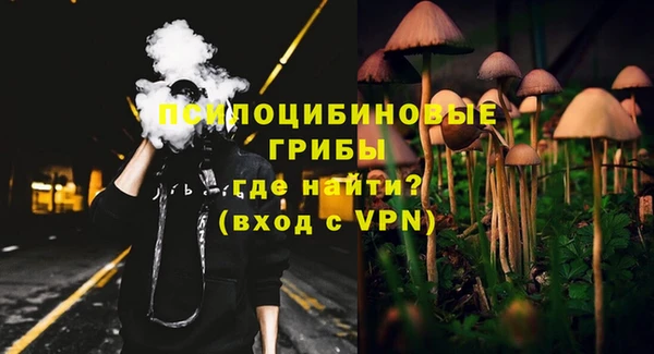 а пвп мука Кострома