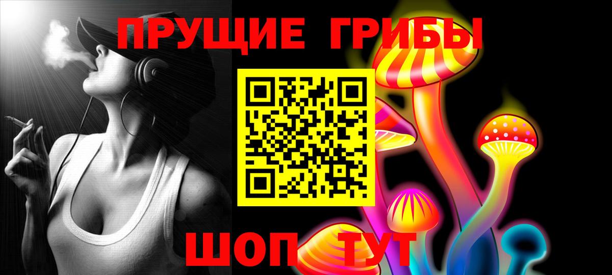 Галлюциногенные грибы Psilocybine cubensis Асино