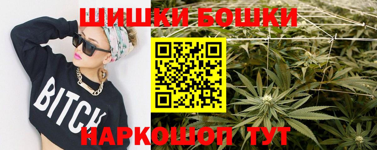 МЕФ Асино