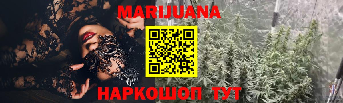 Каннабис сатива Асино